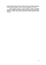 Referāts 'Mazās aviācijas bizness Baltijas valstīs ', 21.