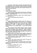 Referāts 'Mazās aviācijas bizness Baltijas valstīs ', 29.