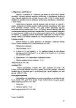 Referāts 'Mazās aviācijas bizness Baltijas valstīs ', 32.