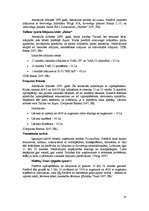 Referāts 'Mazās aviācijas bizness Baltijas valstīs ', 33.