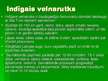 Prezentācija 'Indīgie augi Latvijā', 6.