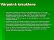 Prezentācija 'Indīgie augi Latvijā', 20.