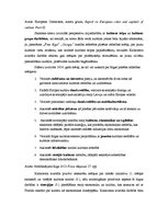 Referāts 'Rīgas kultūras attīstības perspektīvas', 6.