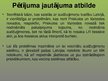 Prezentācija 'Audžuģimene kā viena no ārpusģimenes aprūpes sistēmas veidiem', 12.