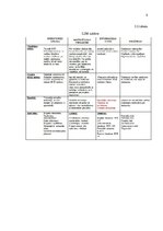 Konspekts 'Ekskursija uz Zemgali', 8.