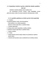 Prakses atskaite 'Intervija, tās analīze', 3.