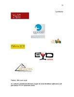 Prakses atskaite 'Intervija, tās analīze', 22.