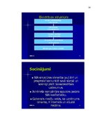 Prakses atskaite 'Intervija, tās analīze', 25.