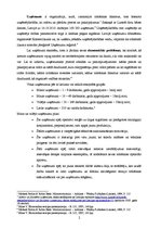Konspekts 'Ražošanas organizācija. Ieņēmumi un ražošanas izmaksas', 2.