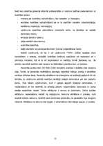 Diplomdarbs 'Uzņēmuma "TAPS" konkurētspējas analīze', 52.