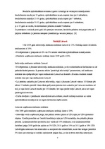 Referāts 'Lietuvas Republikas pilsoņu sociālā aizsardzība', 18.