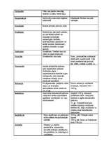 Konspekts 'Politikas jēdzieni', 7.