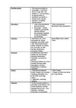 Konspekts 'Politikas jēdzieni', 8.