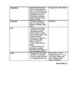 Konspekts 'Politikas jēdzieni', 9.