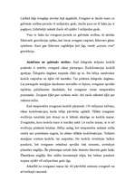 Referāts 'Zvaigžņu evolūcija', 3.