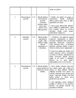 Konspekts 'Kvalifikācijas prakse sākumskolā', 3.