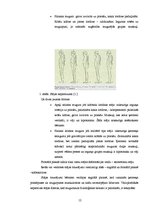 Referāts 'Nepareizas stājas cēloņi pusaudžu vecumā', 11.