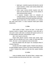 Referāts 'Nepareizas stājas cēloņi pusaudžu vecumā', 12.