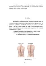 Referāts 'Nepareizas stājas cēloņi pusaudžu vecumā', 13.