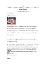 Paraugs 'Radioviļņu ekranēšana', 1.