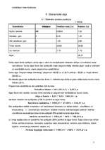 Biznesa plāns 'Biznesa plāns', 5.