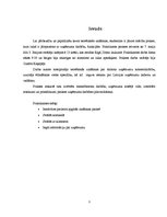 Prakses atskaite 'SIA "Zilais Putns" kafejnīca "13 krēsli"', 3.