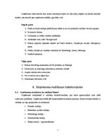 Prakses atskaite 'SIA "Zilais Putns" kafejnīca "13 krēsli"', 7.