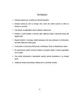 Prakses atskaite 'SIA "Zilais Putns" kafejnīca "13 krēsli"', 13.