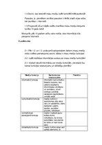 Konspekts 'Mediju veidi', 2.