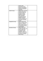 Konspekts 'Mediju veidi', 3.