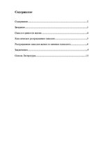 Referāts 'Смысл и ценности жизни', 1.