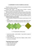 Referāts 'Kompozītu materiālu pielietojuma gaisa kuģu konstrukcijās analīze, konstrukciju ', 7.