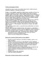 Prezentācija 'Trokšņu piesārņojums pasaules okeānā', 3.