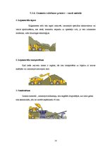 Referāts 'Cementa rūpnīca SIA "Cemex"', 16.