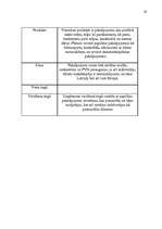 Referāts 'Viesnīcas "XXX" mārketinga vides un stratēģijas analīze, un darbības plānošana', 28.