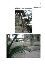 Referāts 'Viesnīcas "XXX" mārketinga vides un stratēģijas analīze, un darbības plānošana', 34.