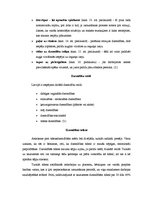 Konspekts 'Dzemdību pozas un veidi', 4.