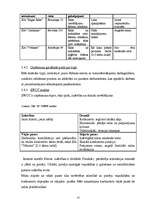 Biznesa plāns 'Biznesa plāns šūšanas darbnīcai', 14.