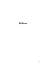 Referāts 'Meklēšana internetā', 12.