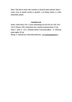 Eseja 'Visatļautība seksuālajos sakaros - postmodernās kultūras elements', 3.