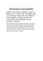 Referāts 'Vienaudžu sarunvaloda', 10.