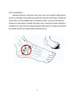 Referāts 'Locītavu saišu sastiepumu rehabilitācija', 4.