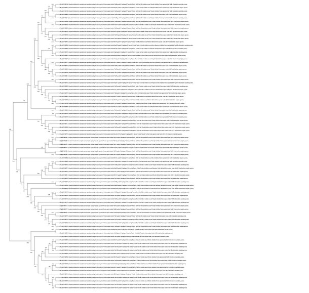 Konspekts 'Bioloģiskās informācijas meklēšana datu bāzēs un analīzes pamatmetodes', 8.