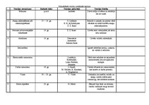 Konspekts 'Populārākās valodu izcelšanās teorijas', 1.