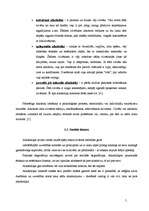 Referāts 'Alkoholisms, tā cēloņi un faktori', 5.