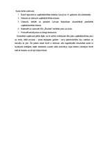 Referāts 'Uzņēmējdarbības sfēras un veidi', 4.