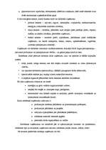 Referāts 'Uzņēmējdarbības sfēras un veidi', 8.