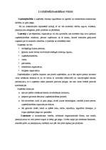 Referāts 'Uzņēmējdarbības sfēras un veidi', 13.