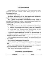 Referāts 'Uzņēmējdarbības sfēras un veidi', 22.