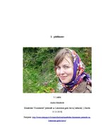 Referāts 'Paradīzes jeb labākas dzīves meklējumu atklāsme V.Lācīša un A.Manfeldes darbos', 32.